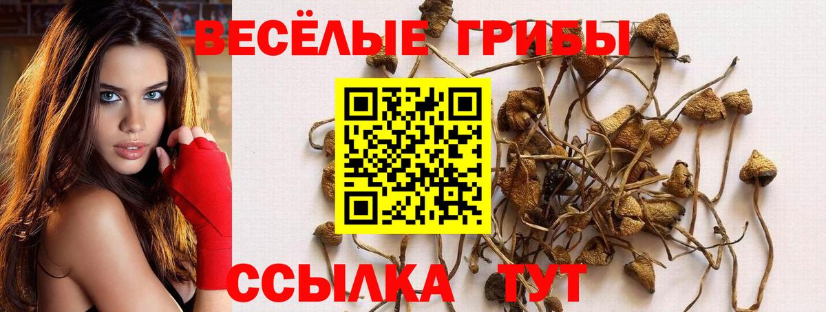 Галлюциногенные грибы ЛСД  Псилоцибиновые грибы мицелий  Вход с VPN  Семилуки 