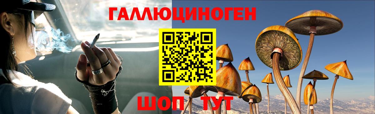 Галлюциногенные грибы GOLDEN TEACHER Семилуки